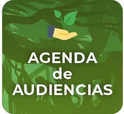 Agenda de Audiencias